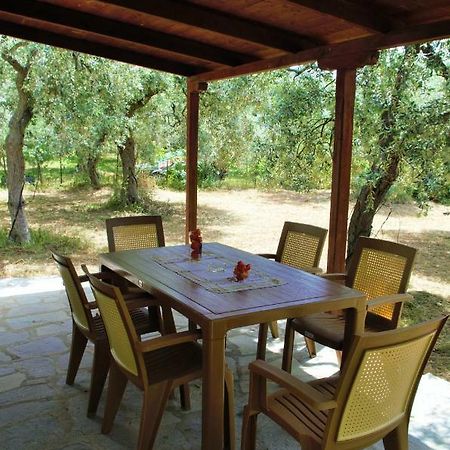 Villa Ktima Elia Skala Sotiros Exterior foto